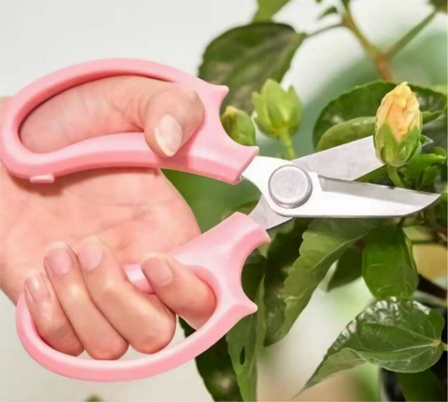 Garden Flower Scissors